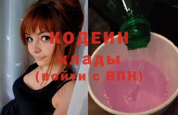 прущие грибы Инсар