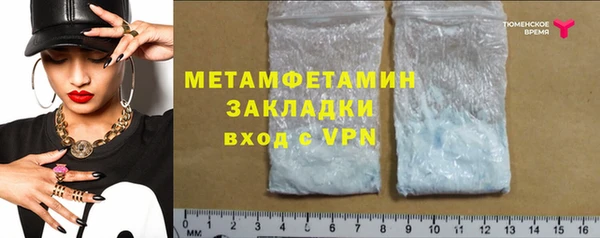 прущие грибы Инсар