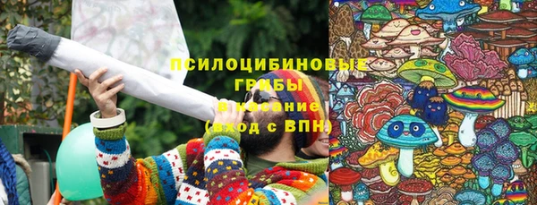 гашик Иннополис