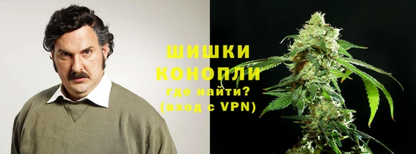 прущие грибы Инсар