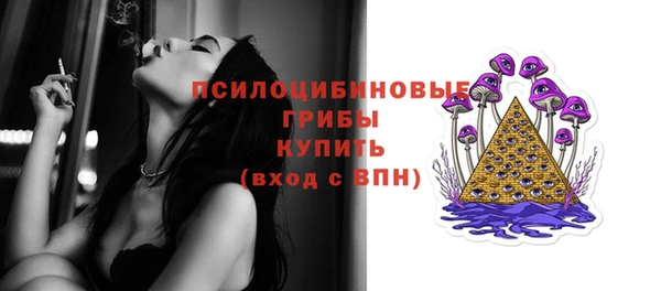 гашик Иннополис