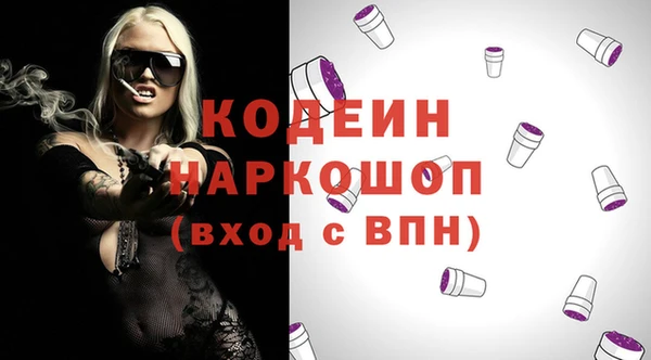 гашик Иннополис