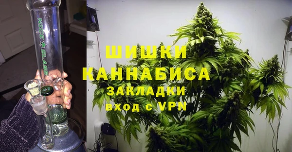 прущие грибы Инсар