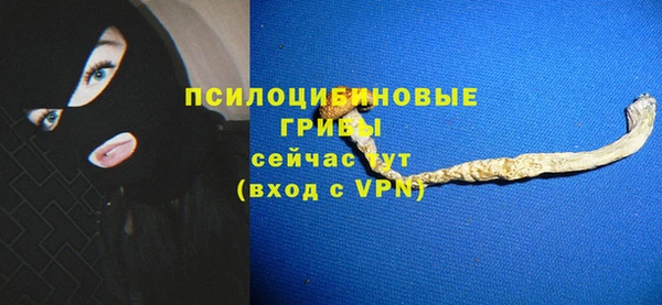 каннабис Инта