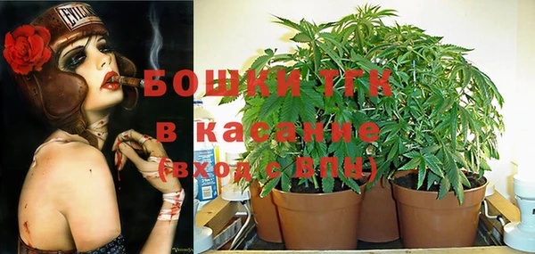 каннабис Инта