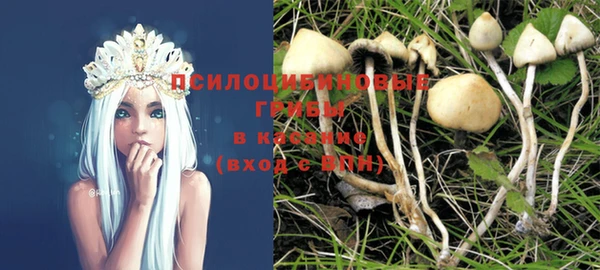 гашик Иннополис