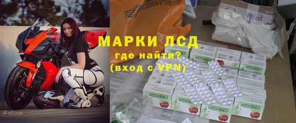 прущие грибы Инсар