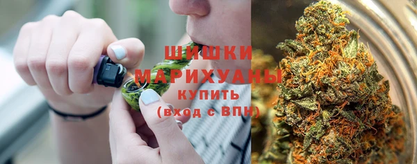 прущие грибы Инсар