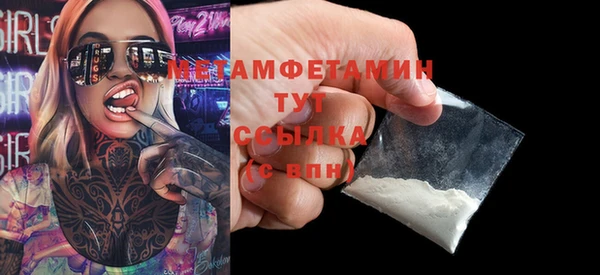 прущие грибы Инсар
