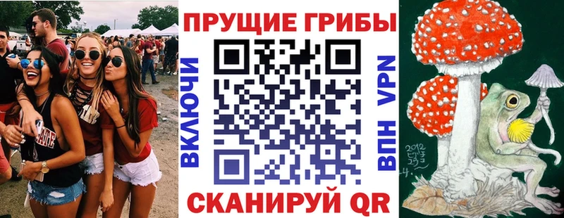 Галлюциногенные грибы мицелий  Нефтекамск 